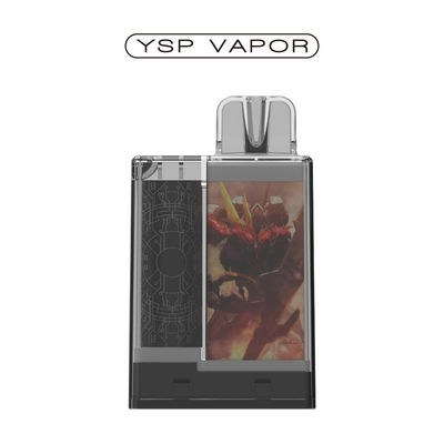 1.2 オーム 6000 パフポッドシステム 10ml 再充電可能なベイプポッドキット